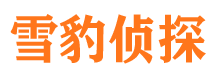 枣强侦探公司